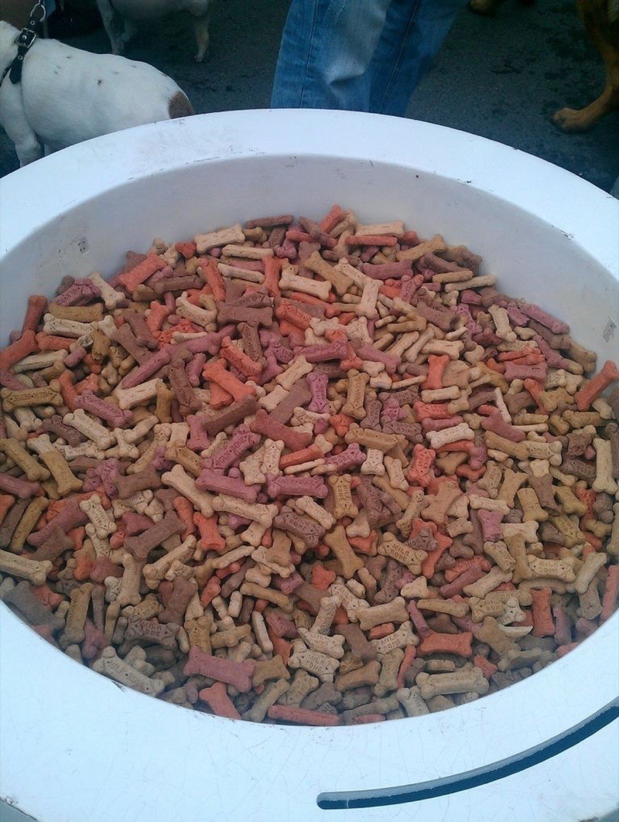 A large bowl of bone-shaped dog treats, relevant to counting treat calories in your dog's daily portion