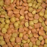 Close-up of dry dog food kibble, relevant to dog food allergies and intolerances