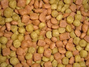 Close-up of dry dog food kibble, relevant to dog food allergies and intolerances