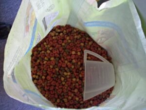 Dry dog food kibble, one of several dog feeding methods compared in this guide