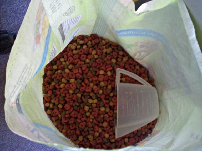 Dry, Wet, Fresh, Raw and Homemade Dog Food Compared: A UK Feeding-Method Guide