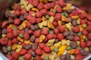 Dry dog food kibble — illustrating this dog food label guide