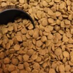 Close-up of dry dog food kibble spilling from a bowl