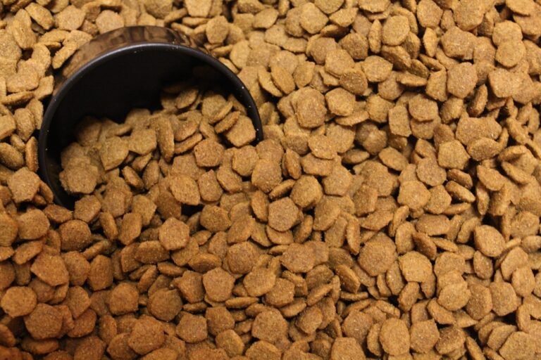 Switching Your Dog’s Food Safely: A Step-by-Step Transition Guide
